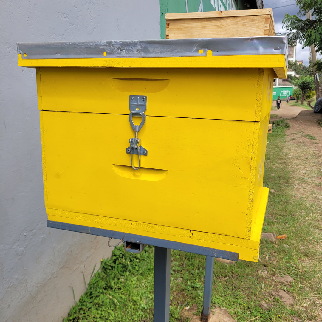 Langstroth Hive
