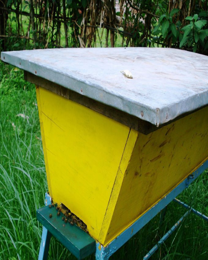 Improved Langstroth Beehive (CAB)